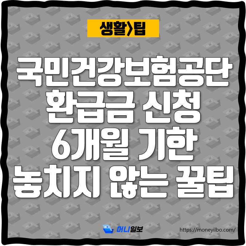 국민건강보험공단 환급금 신청 6개월 기한 놓치지 않는 꿀팁_thumbnail